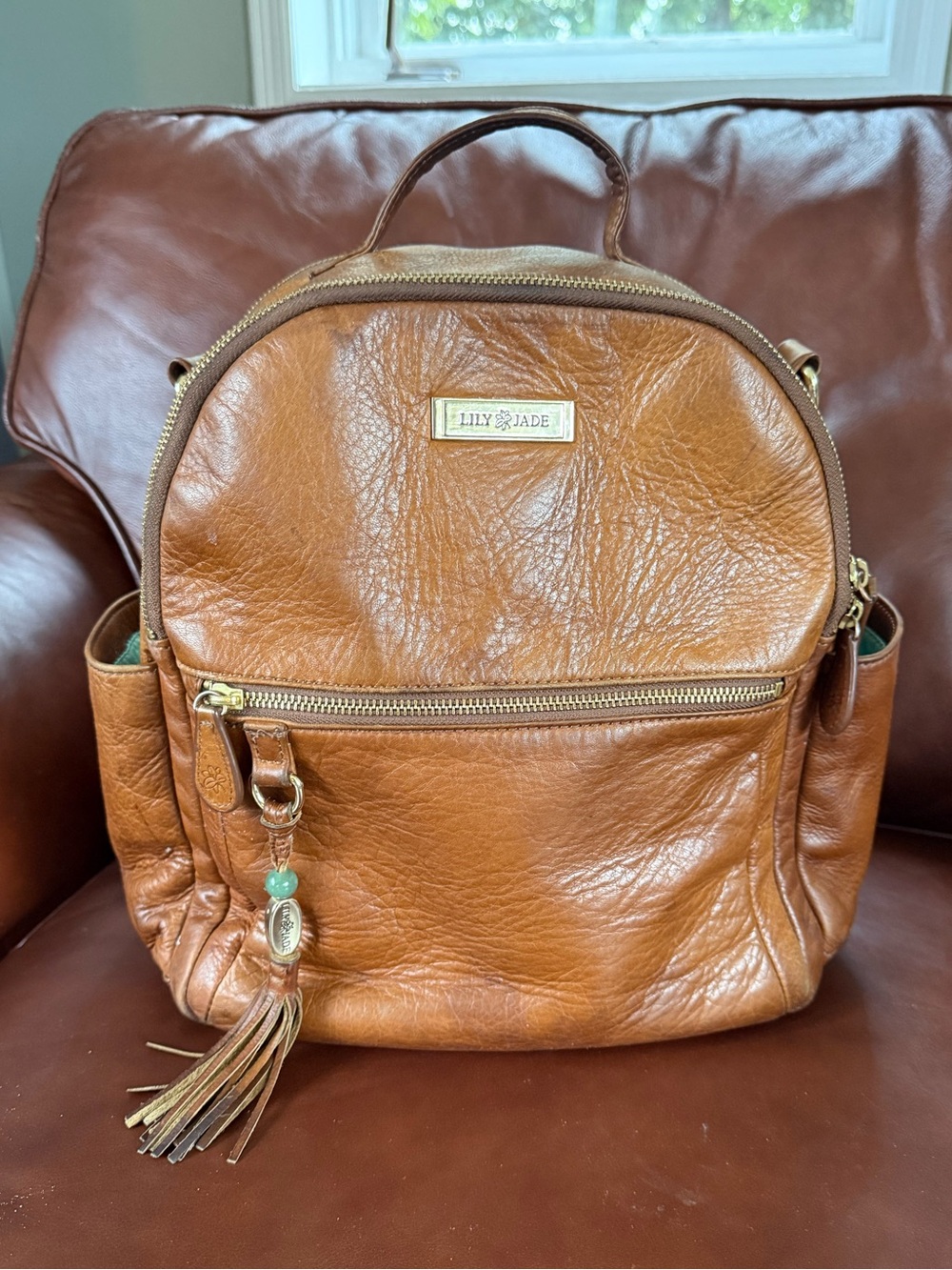 Lily Jade Old English  Anna Medium